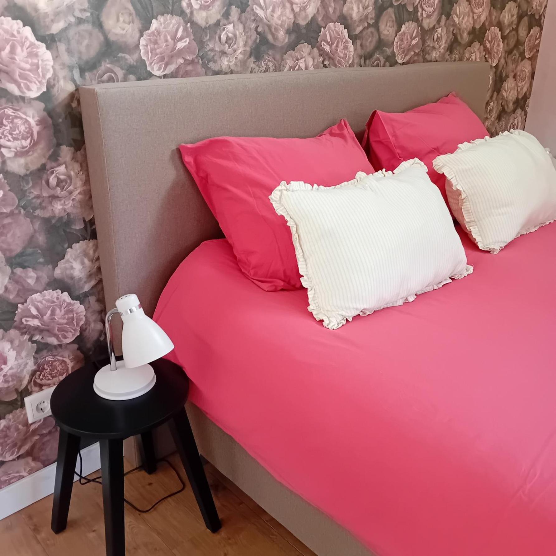 Boukje Har Bed En Brochje Bed & Breakfast Burgum Dış mekan fotoğraf