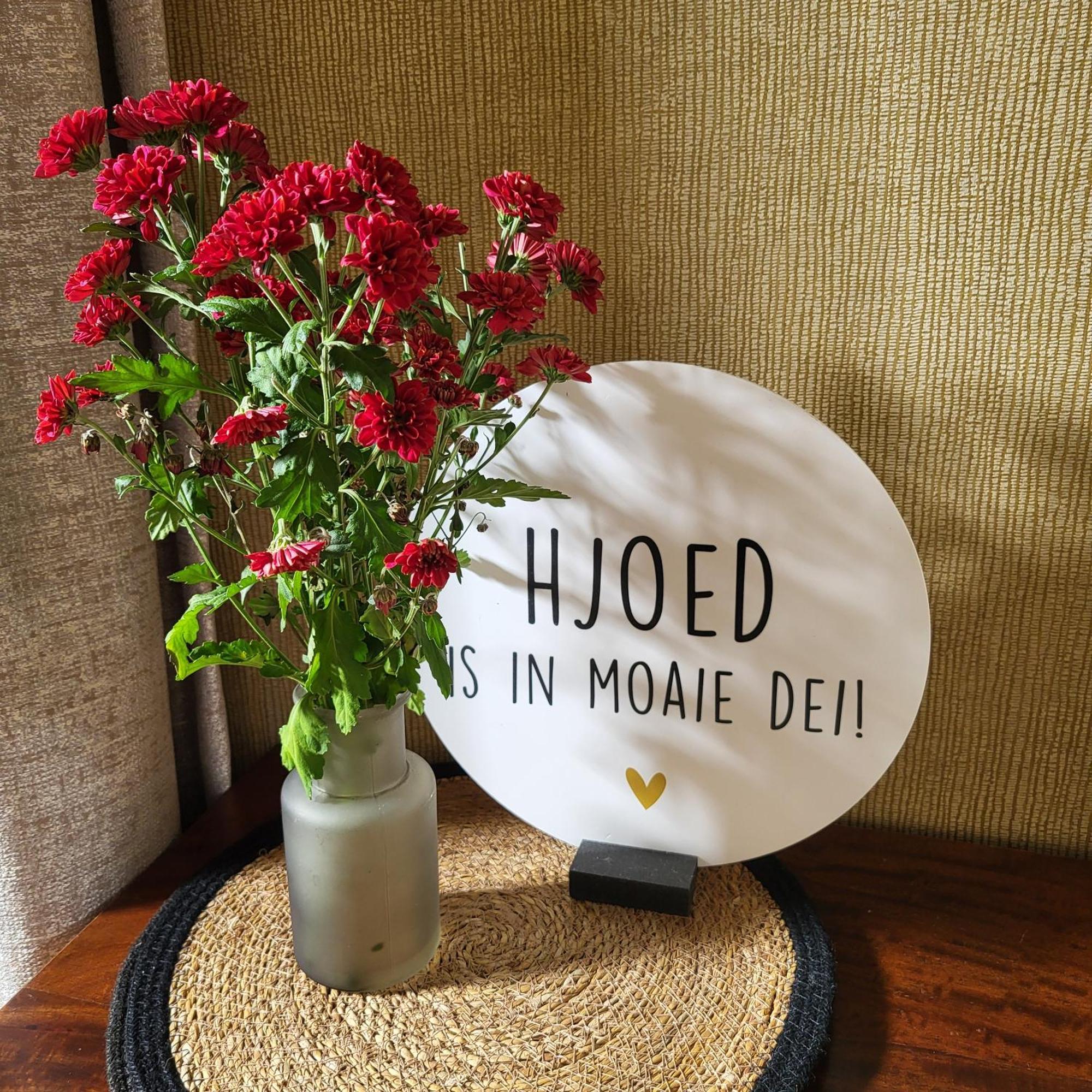 Boukje Har Bed En Brochje Bed & Breakfast Burgum Dış mekan fotoğraf